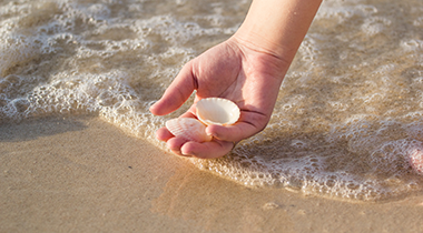 Insel Borkum Information