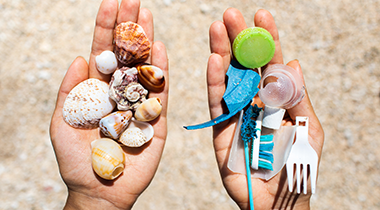 Fundstücke Fundstücke