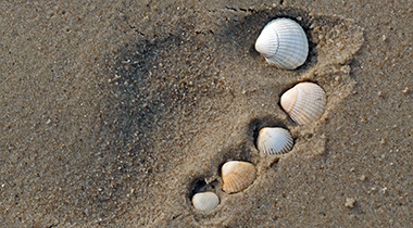 Insel Borkum Information