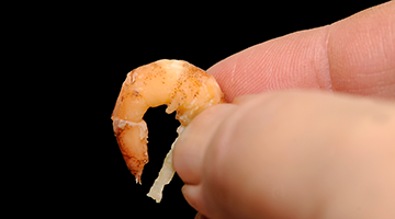 Informationen Insel Borkum 1 – 6