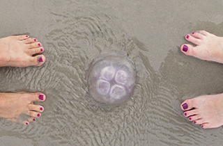 Insel Borkum Information
