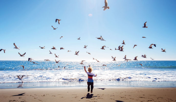 Informationen Insel Borkum 1 – 6