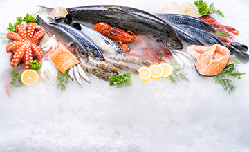 Insel Borkum Information Insel Borkum Information