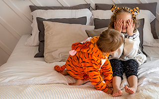 Insel Borkum Information