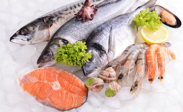 Insel Borkum Information