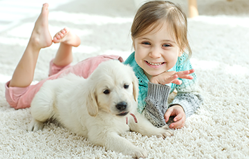 Zu den Borkum Informationen 1 — 6 Informationen Insel Borkum 1 – 6