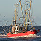 Insel Borkum Erlebnis