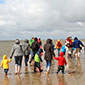 Insel Borkum Wattwandern