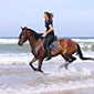 Insel Borkum Reiten