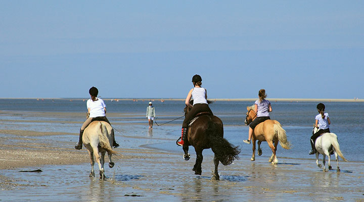 Informationen Insel Borkum 1 – 6