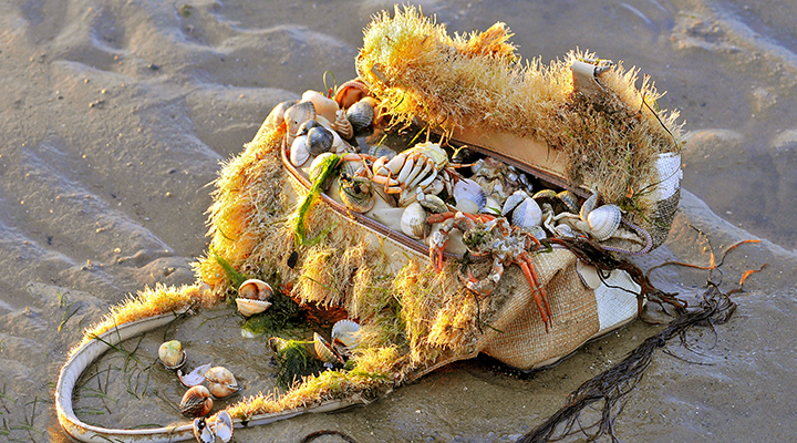 Zu den Borkum Informationen 1 — 6 Informationen Insel Borkum 1 – 6