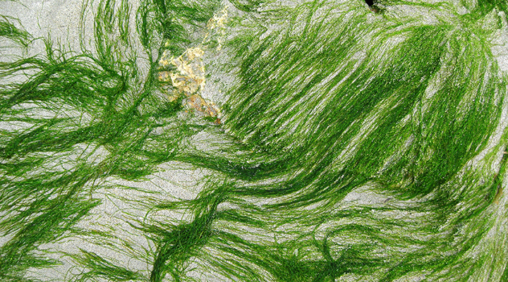 Insel Borkum Südbad